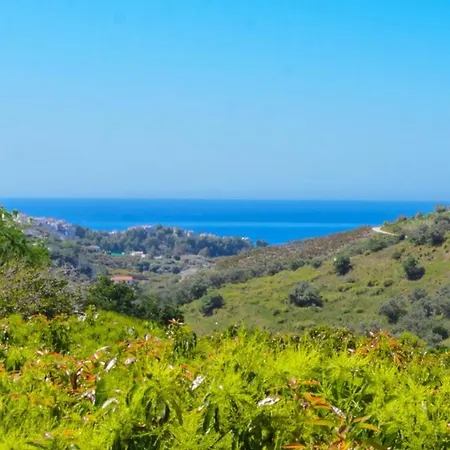 Javier De By Ruralidays Frigiliana